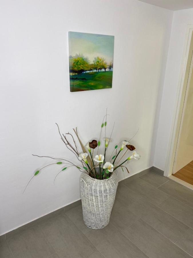 Apartment Carmen Трогір Екстер'єр фото